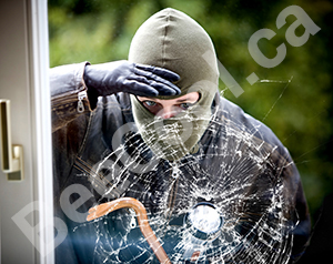 Bee Safe Security Safety tint film coating for windows - secure against injury from broken glass - deter theft