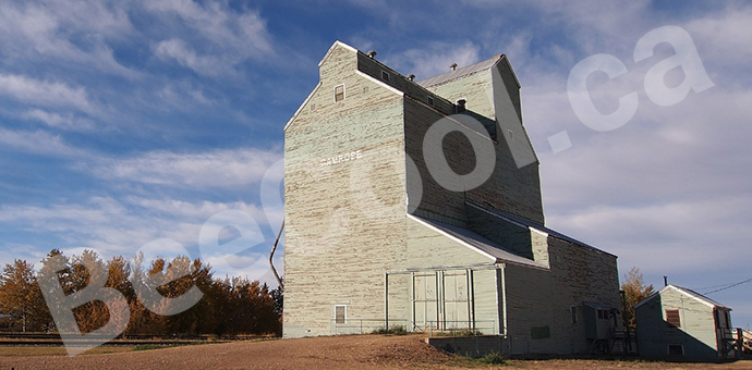 Glass Coatings and Window Tinting in Camrose.