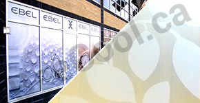 Red Deer Decorative, Graphical and Privacy Glass Coatings