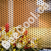 Red Deer Bee Cool Perforated Graphic Film - Decorative and Privacy Window Covering