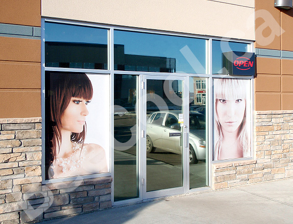 Red Deer Bee Cool Glass Coatings - Perforated Graphic Film