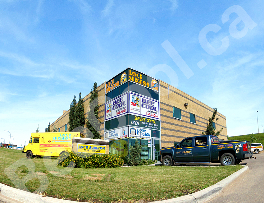 Red Deer Bee Cool Glass Coatings - Perforated Graphic Film