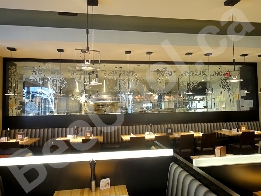 Bee Cool Glass Coatings - Vinyl Examples installed in restaurant.